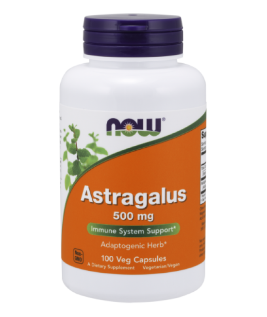Astragalus 500 Mg Veg Capsules